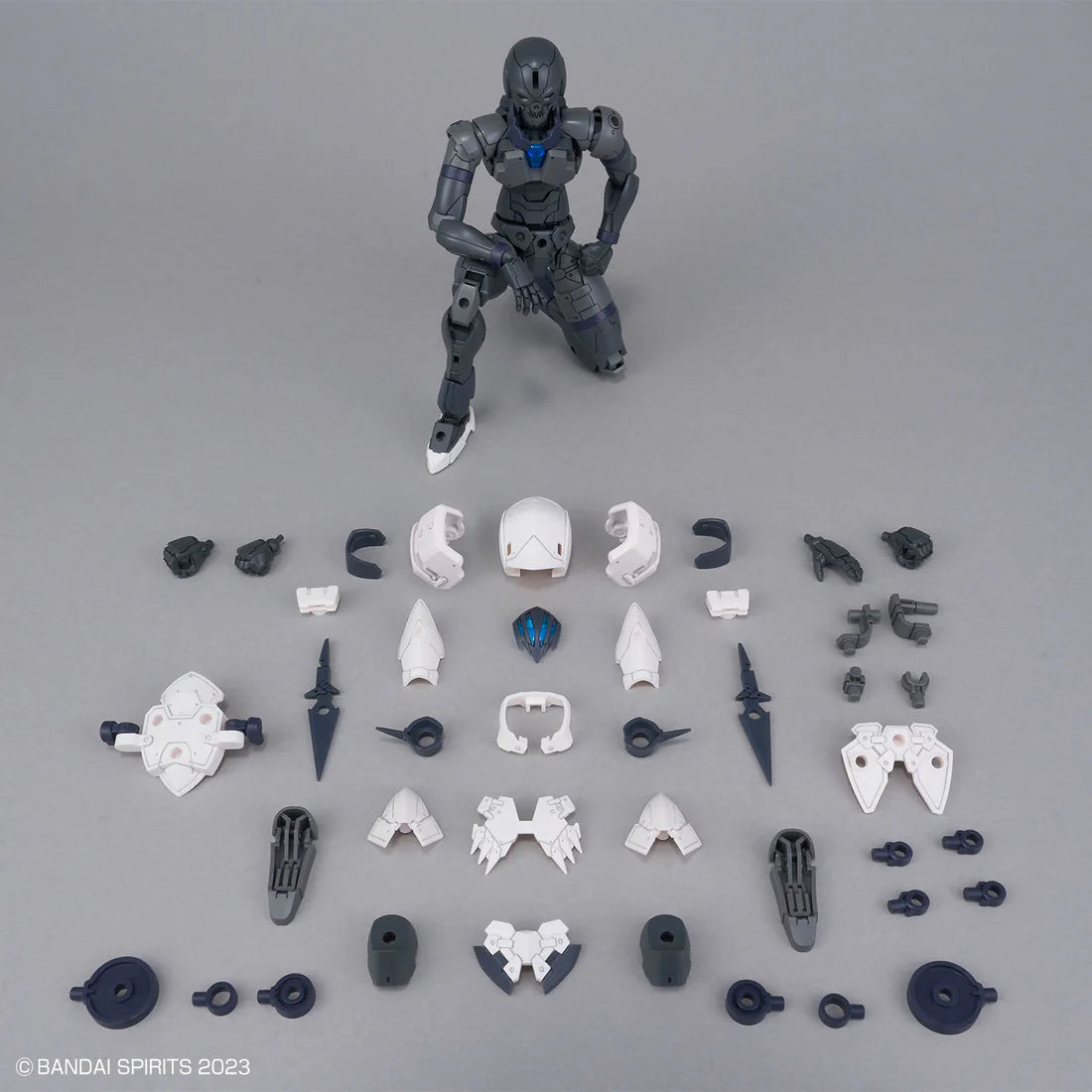 30 Minutes Fantasy Rosan Assassin Model Kit