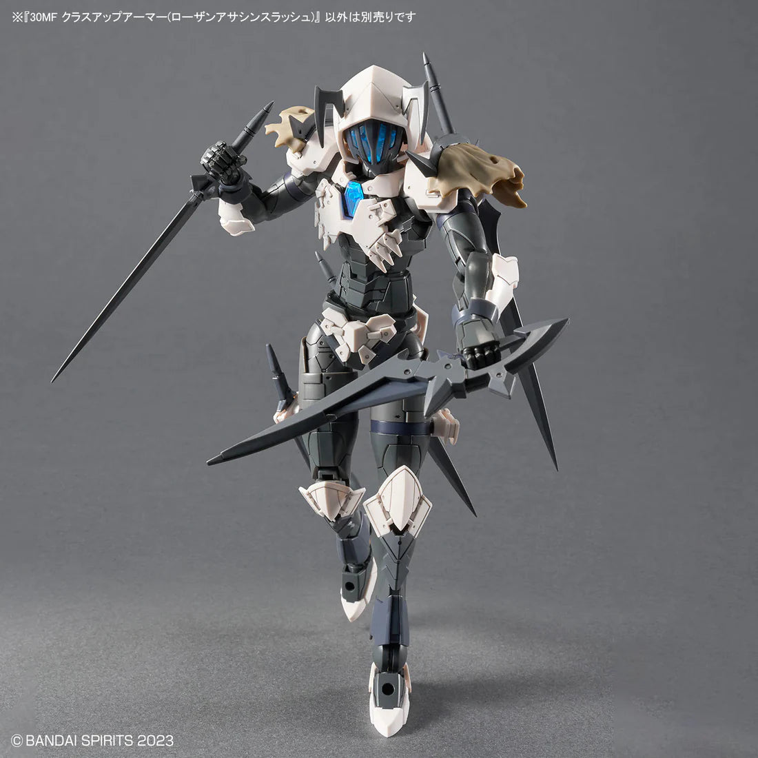 30 Minutes Fantasy Class-Up Armor Rosan Assassin Slash Accessory Set
