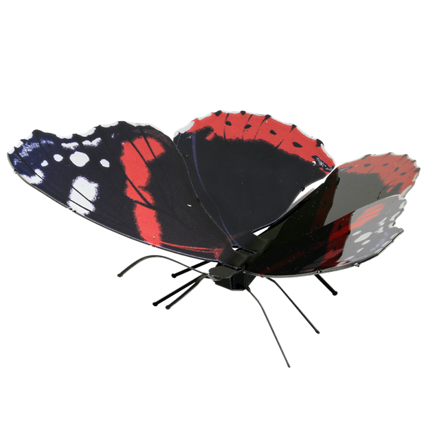 Red Admiral-Butterfly