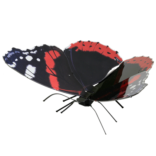 Red Admiral-Butterfly