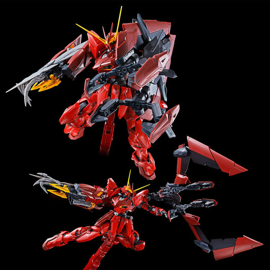 P-Bandai MG 1/100 TESTAMENT GUNDA