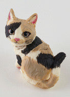 Acrysion Kit Paint Try! *Cat*