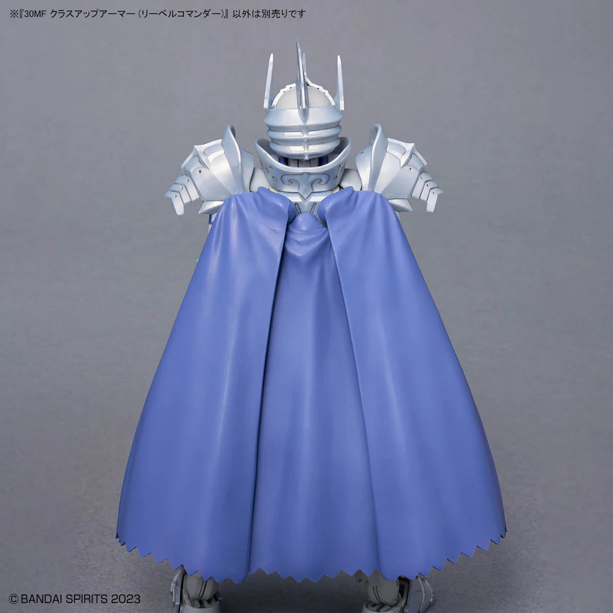 30 Minutes Fantasy Class-Up Armor (Liber Commander) Accessory Set
