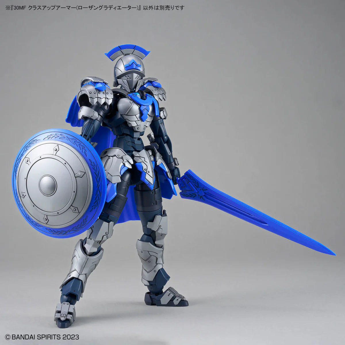 30 Minutes Fantasy Class Up Armor Rosan Gladiator Accessory Kit