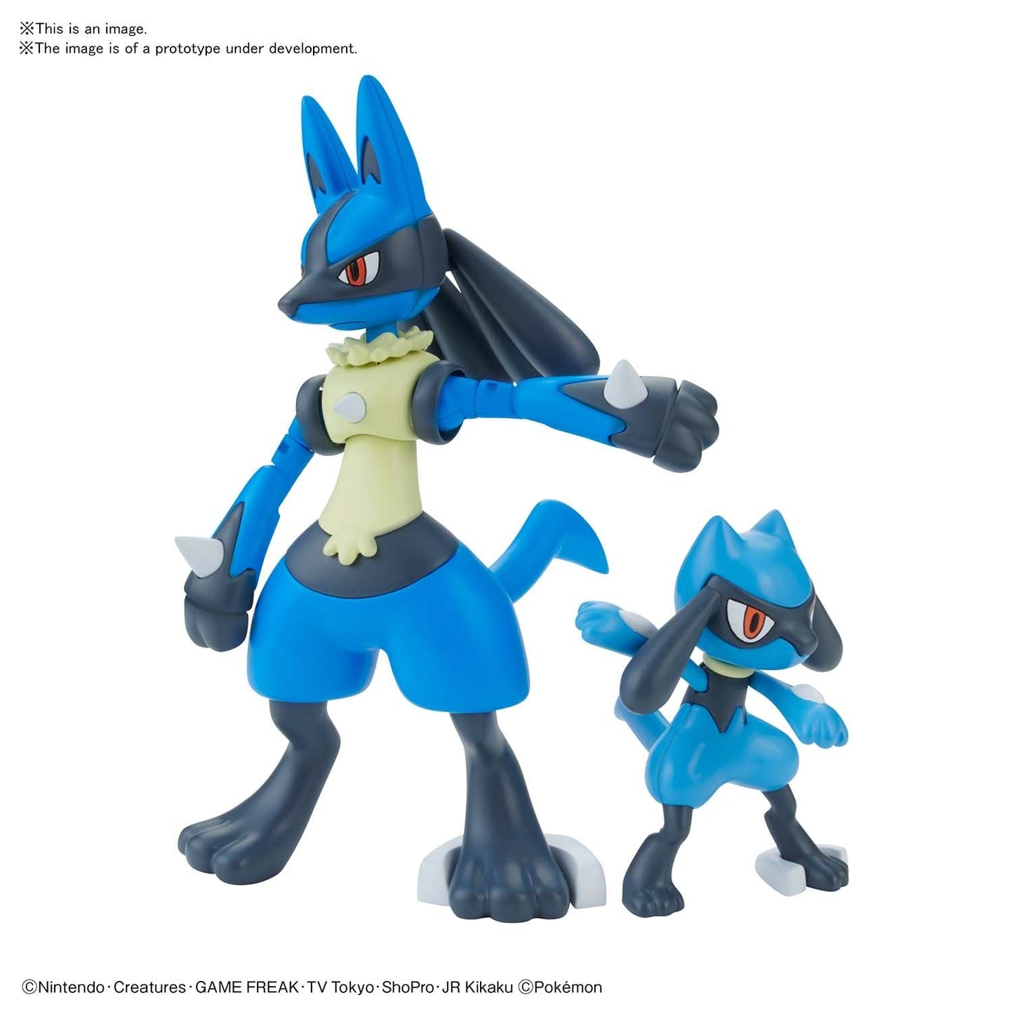 Pokemon Model Kit - Riolu & Lucario