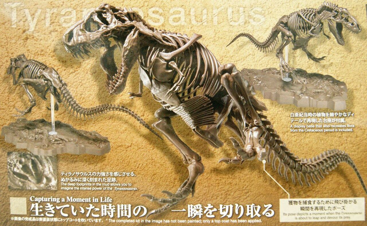 1/32 Imaginary Skeleton Tyrannosaurus