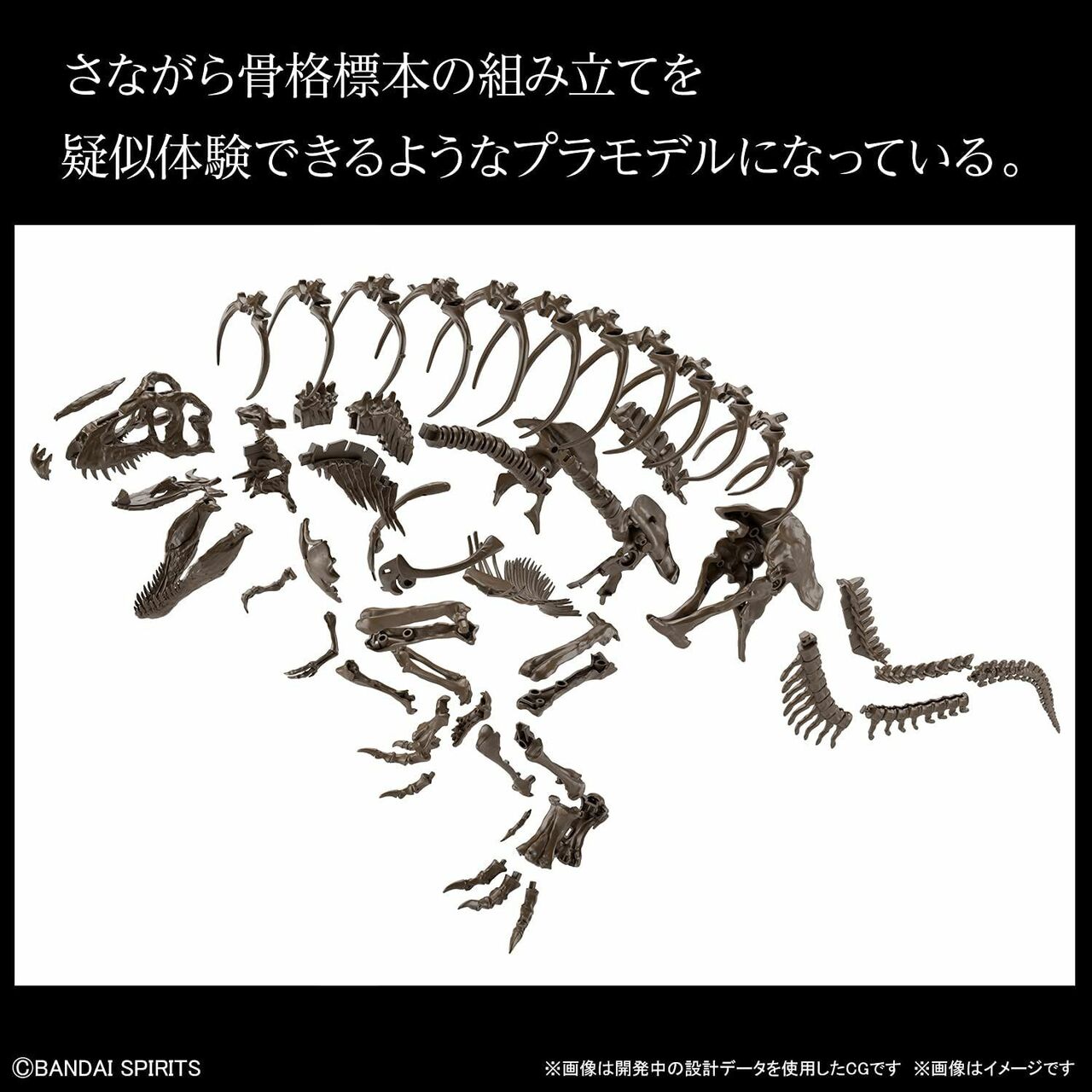 1/32 Imaginary Skeleton Tyrannosaurus