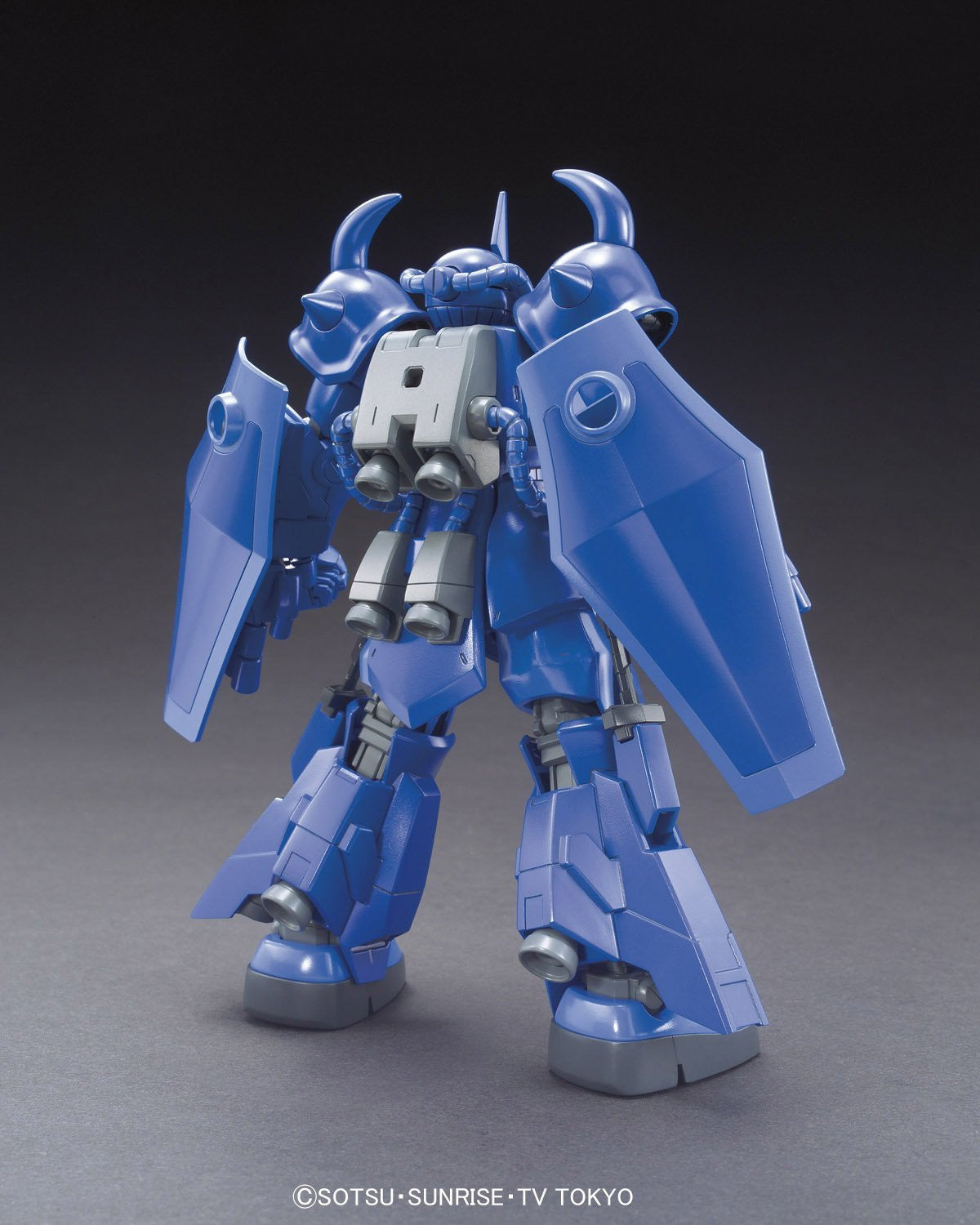 HG 1/144 Gouf R35
