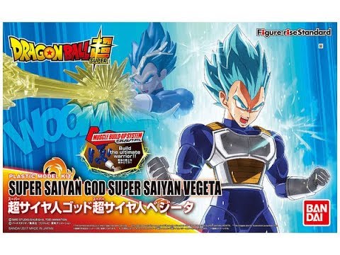 Figure-rise Standard - Super Saiyan God Super Saiyan Vegeta