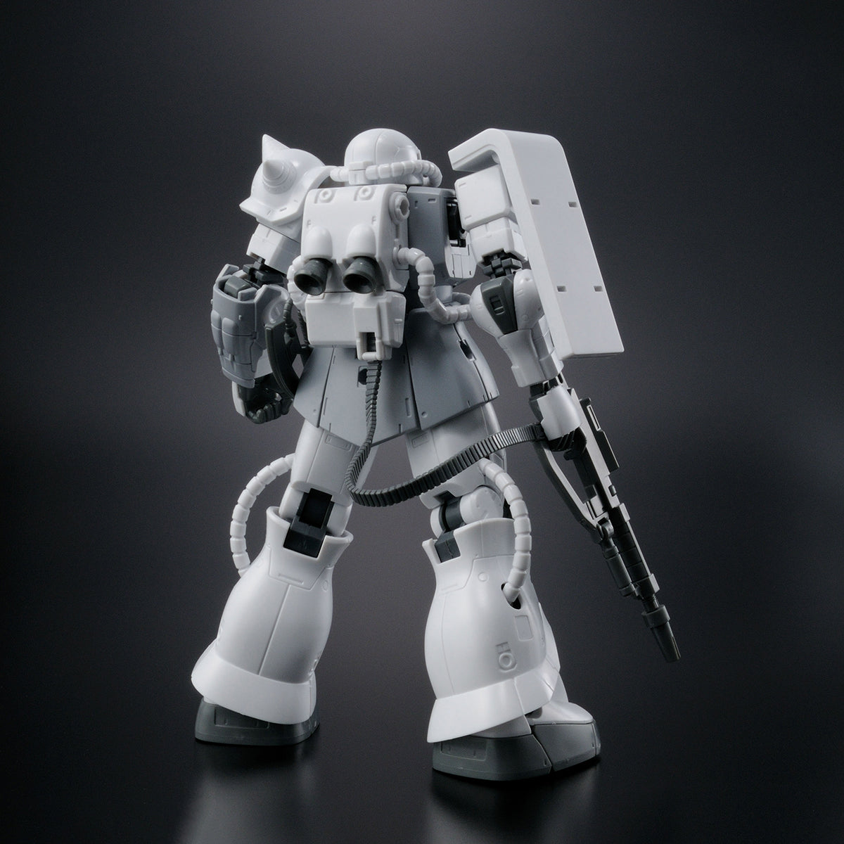 Premium Bandai HG 1/144 THE GUNDAM BASE LIMITED MS-06-C/R6 ZAKUII TYPE C-6/R6 [PAINTING MODEL]