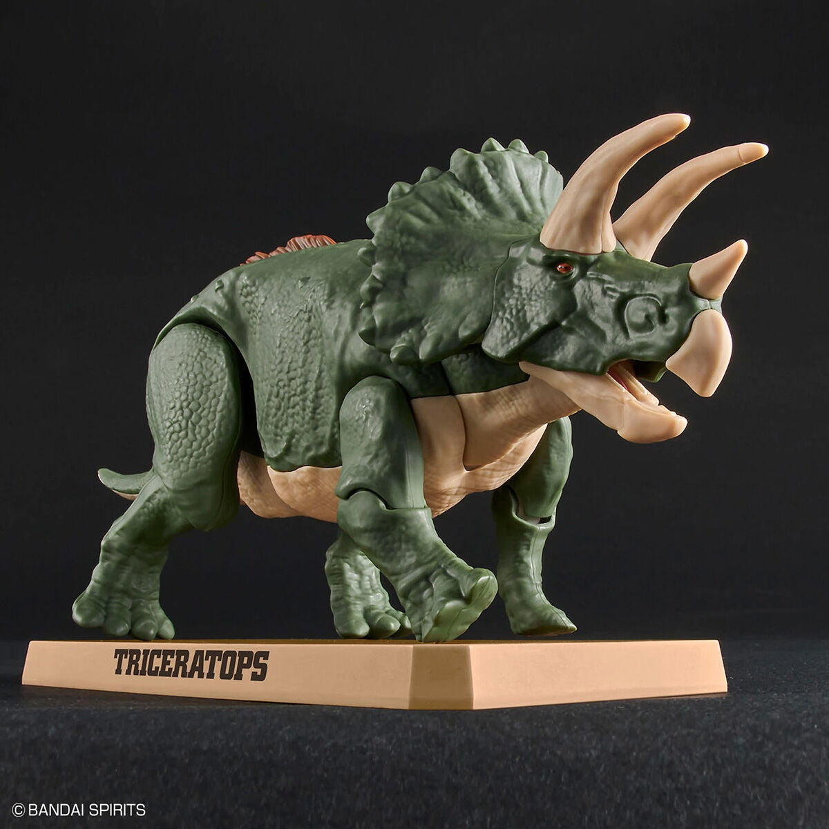 Dinosaur Plastic Model Kit Brand Triceratops