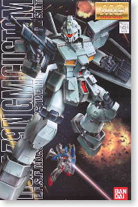 MG 1/100 GM Custom