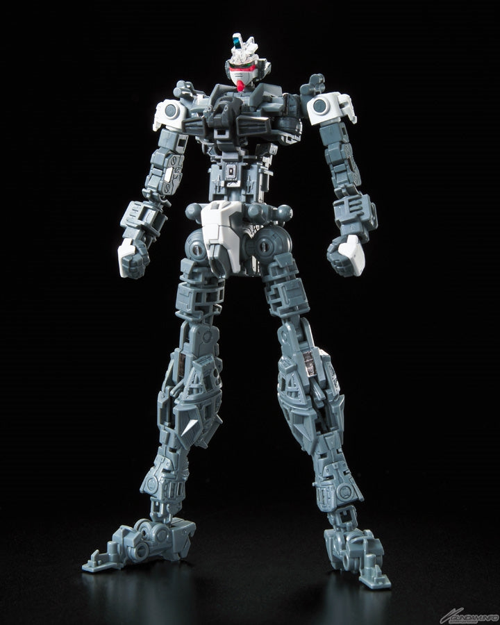 RG 1/144 #33 Force Impulse Gundam
