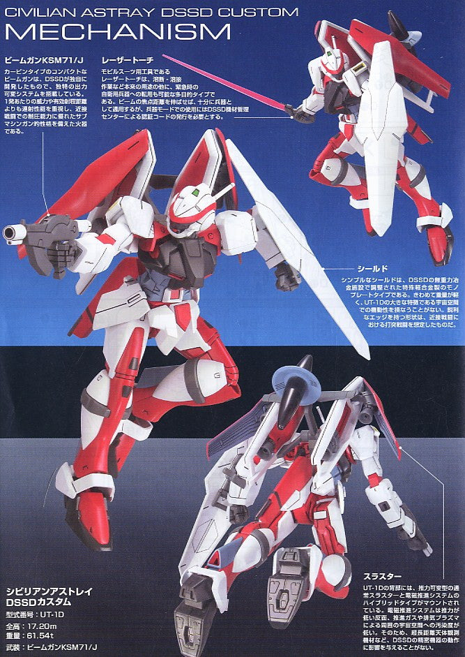 HG 1/144 Civilian Astray DSSD Custom