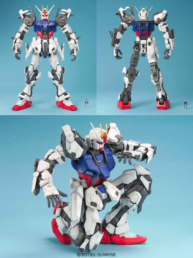 PG 1/60 Skygrasper + Aile Striker
