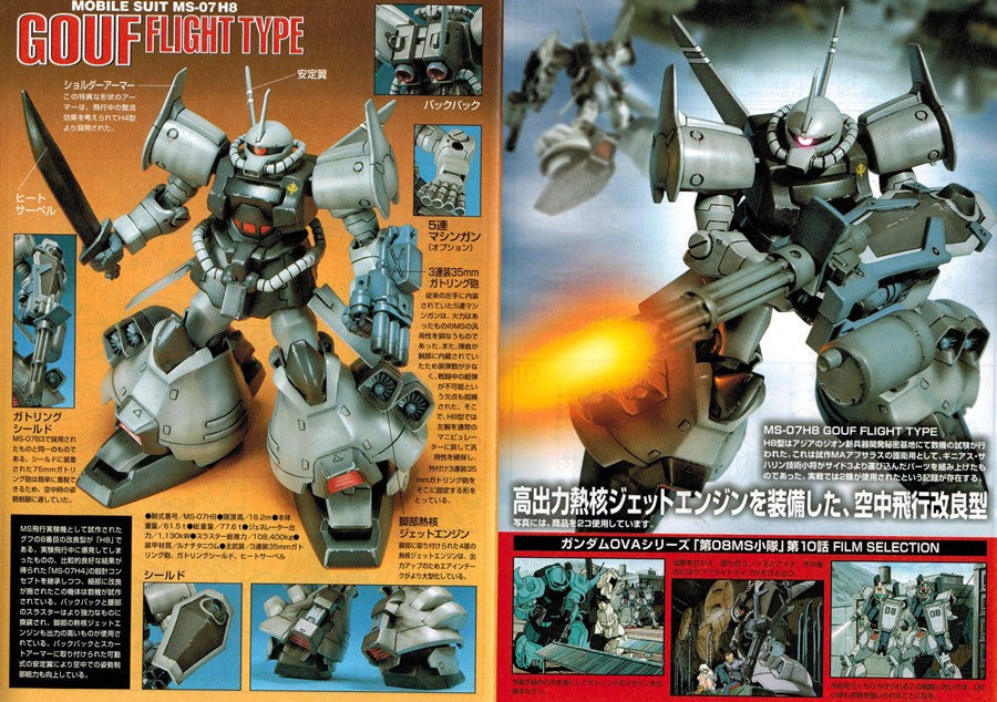 HG 1/144 Gouf Flight Type