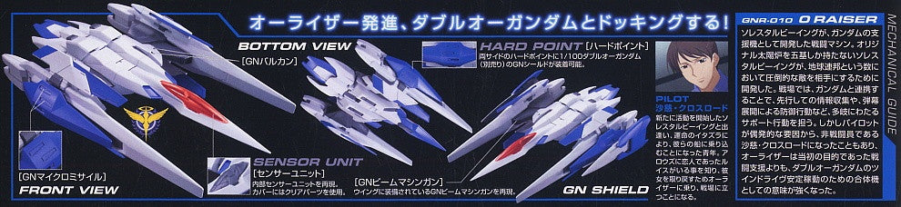 NG 1/100 O Raiser