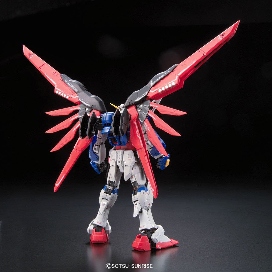 RG 1/144 #11 Destiny Gundam