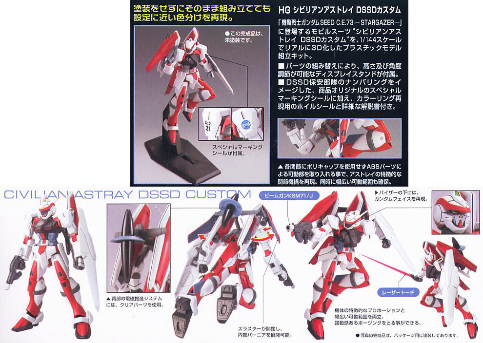 HG 1/144 Civilian Astray DSSD Custom